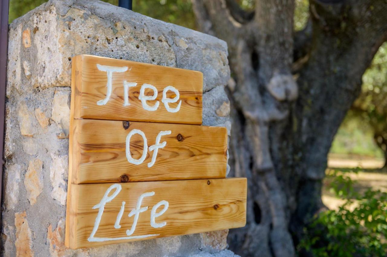 Vila Tree Of Life Valeriános Exteriér fotografie